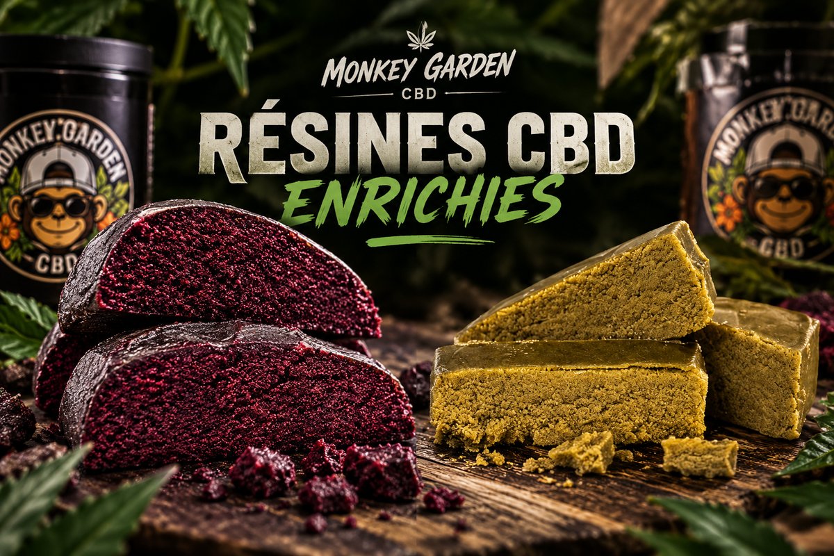 Résines CBD enrichies Monkey Garden – Frozen Premium et Royal Purple Hash