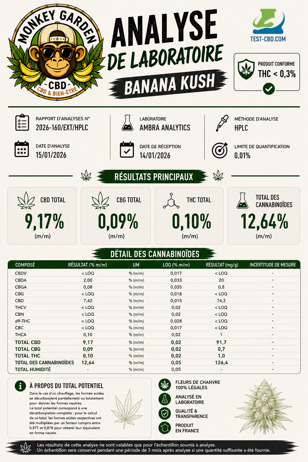 Golden Banana Kush – Small buds