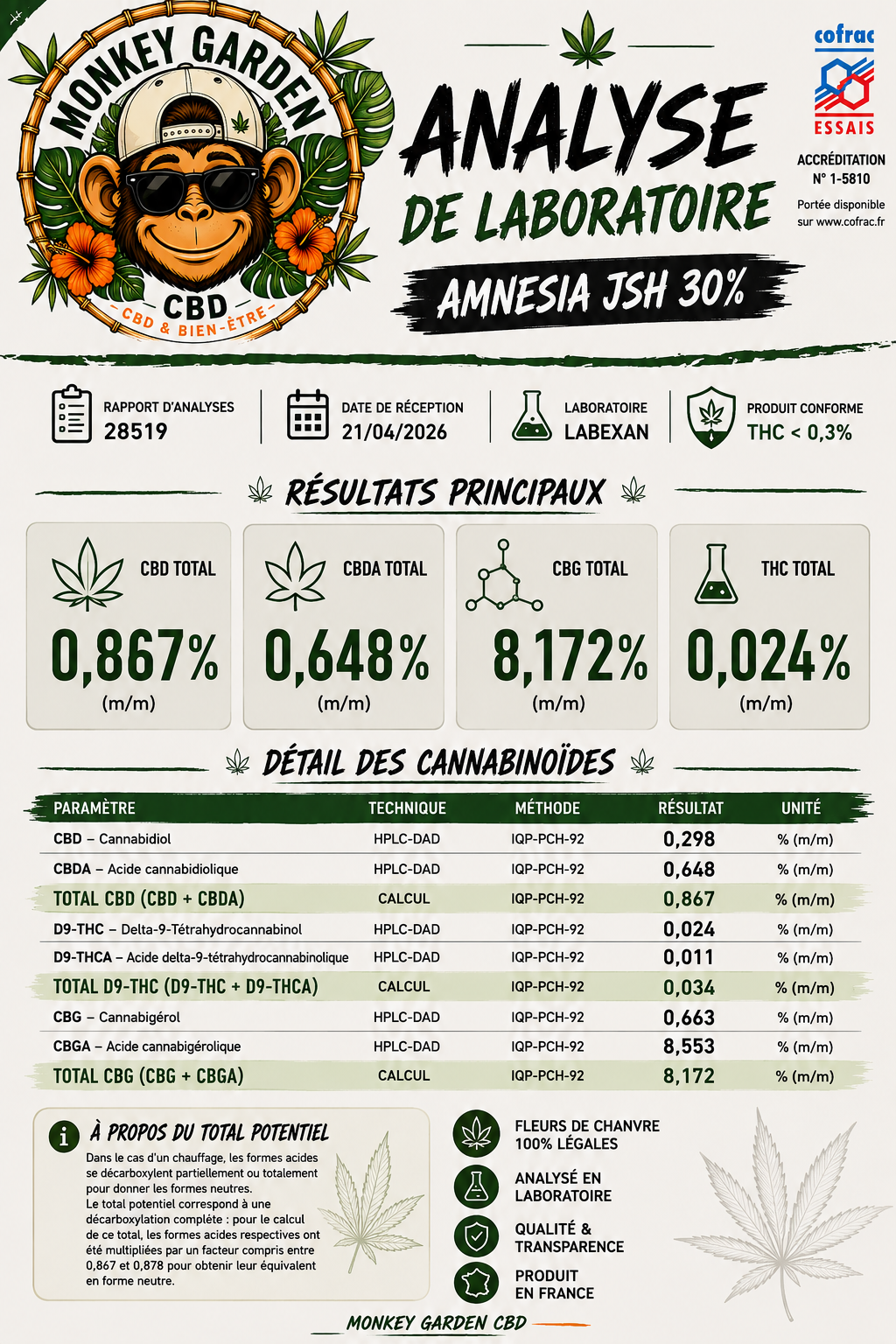 Amnesia 30%