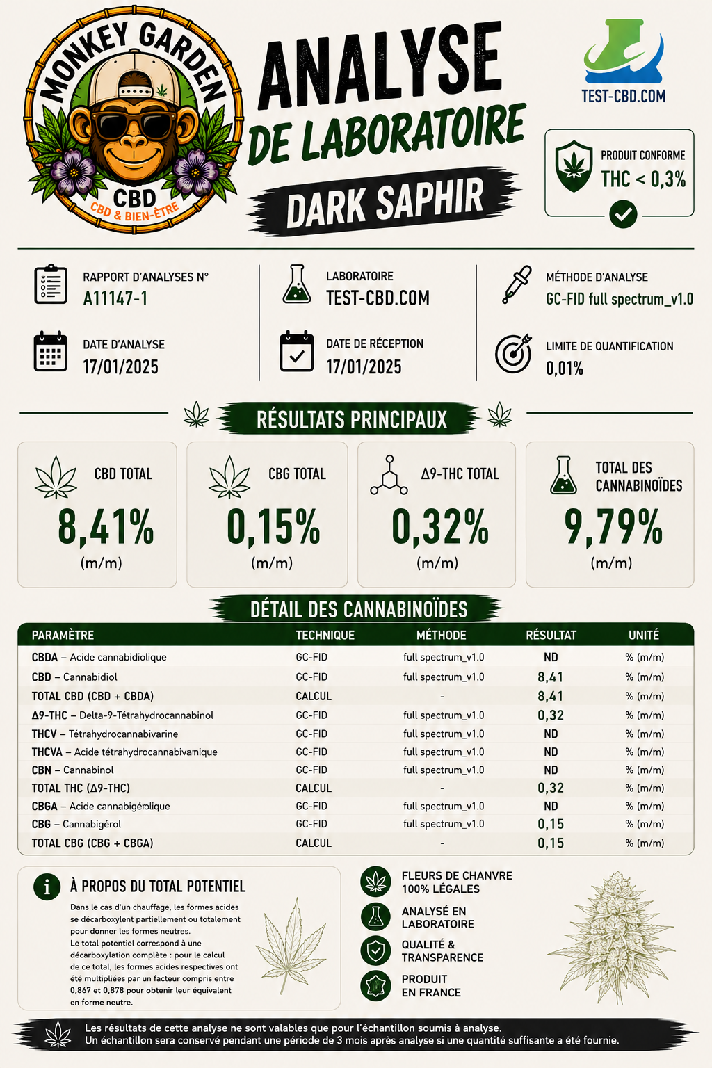 Dark Saphir