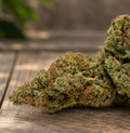 B23 Haze 30%