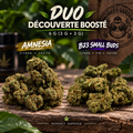 Duo découverte boosté — Amnesia & B23 — 6 g