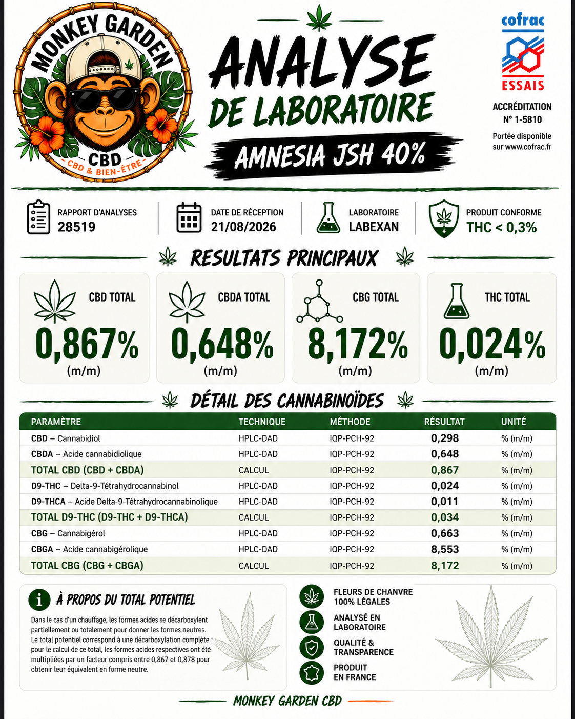 Amnesia 40%