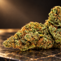G13 Haze 40%