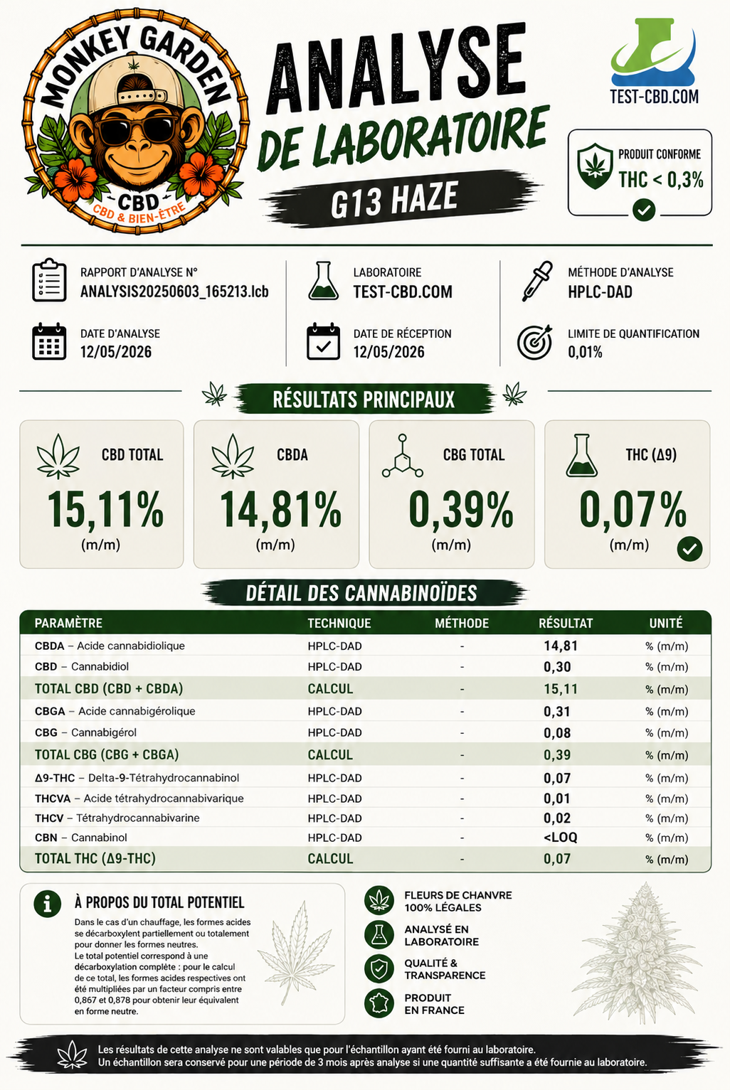 G13 Haze 40%