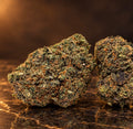 Gorilla Mandarina – fleur CBD photographiée sur fond studio ambré