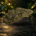 Jack Herer 40 % — fleur photographiée, décor jungle Monkey Garden CBD