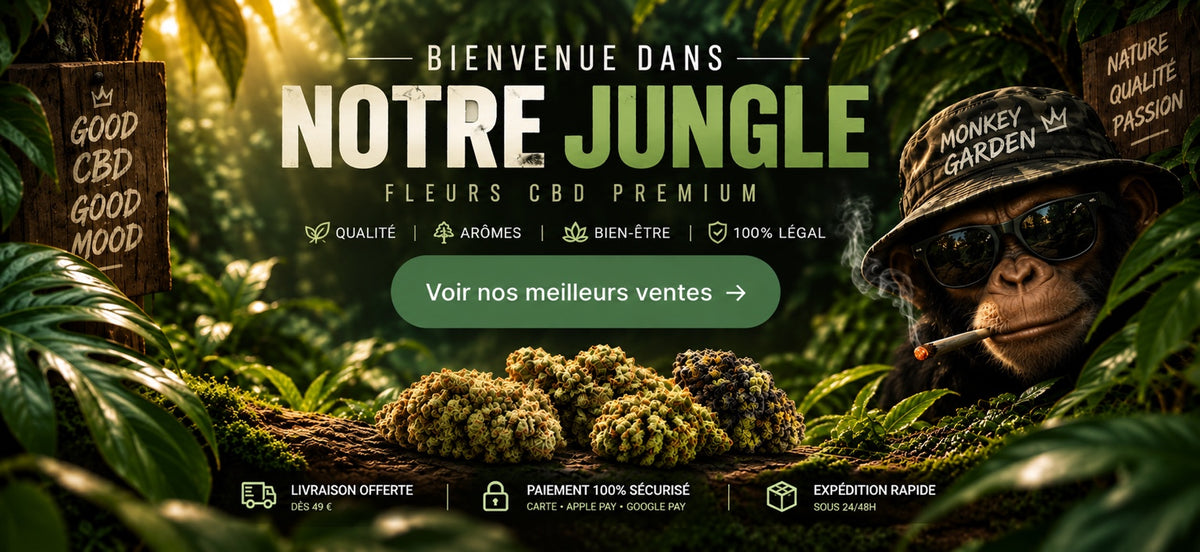 Bienvenue dans notre jungle — Fleurs CBD Monkey Garden