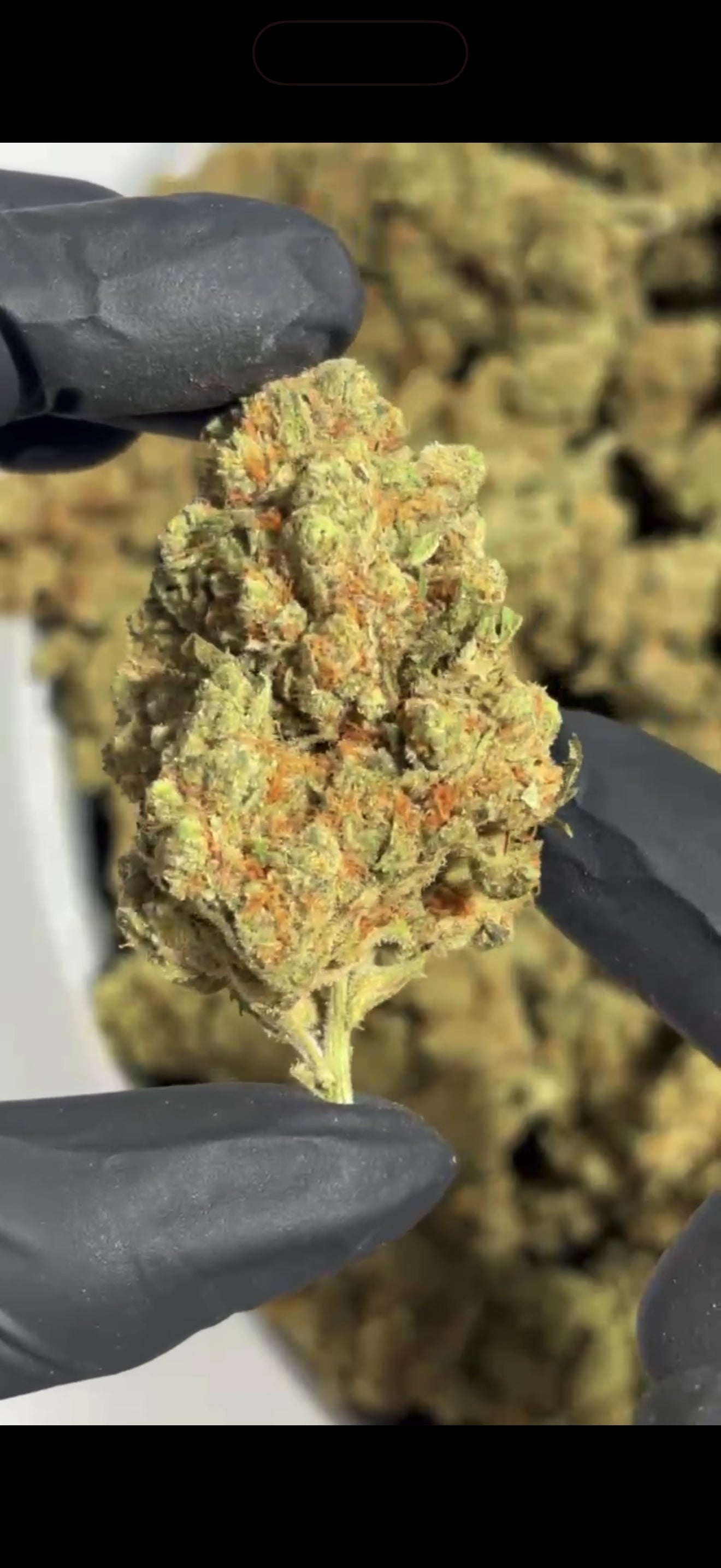 Amnesia 30%