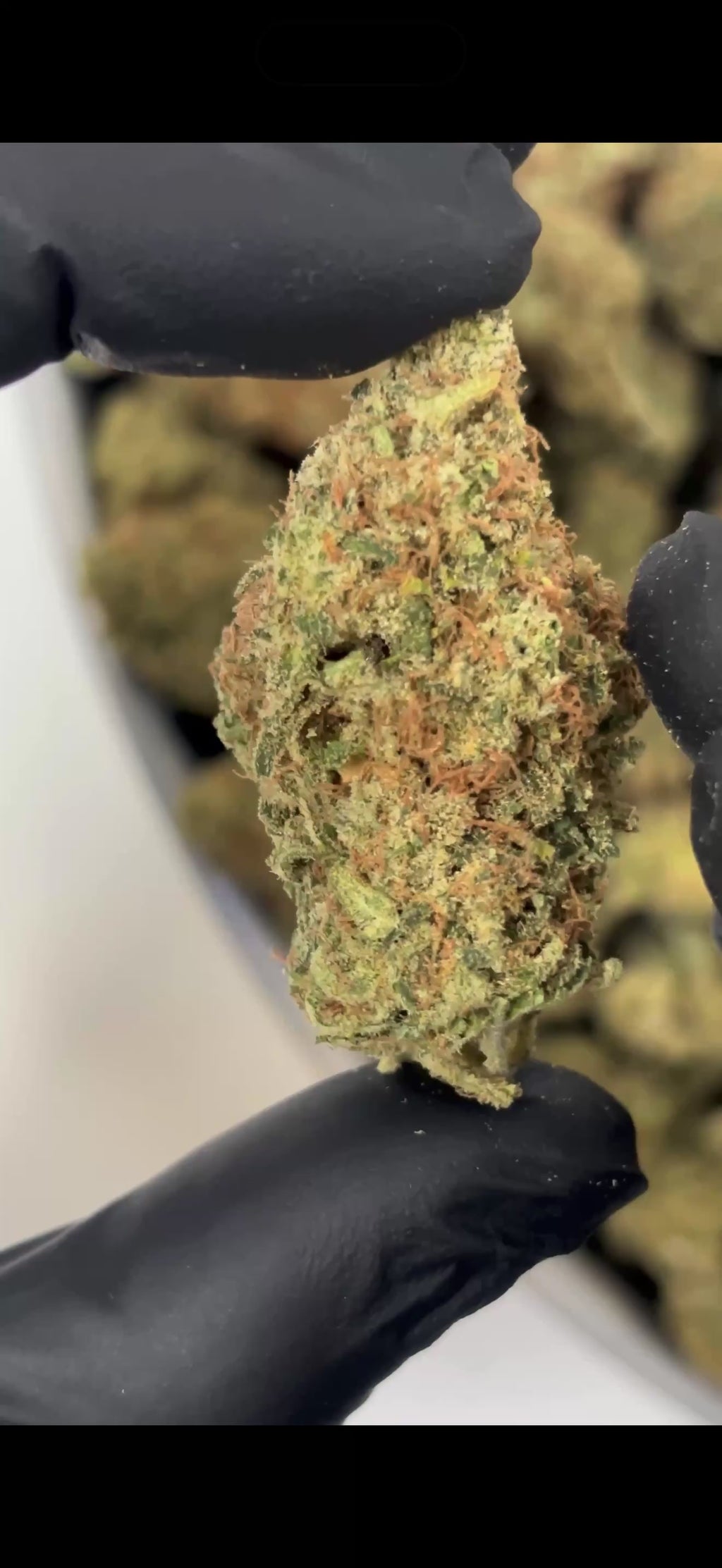 B23 Haze 30%
