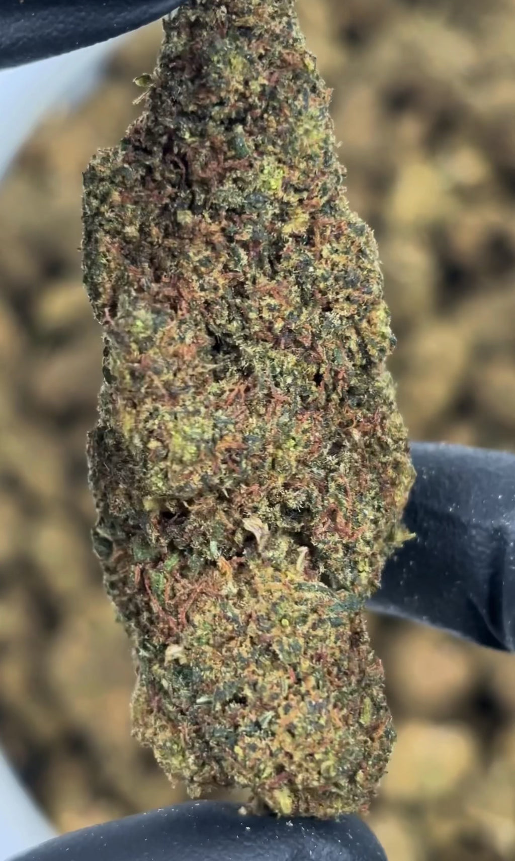 Jack Herer 40 %